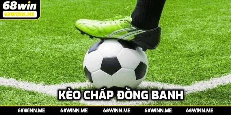 Hình thức kèo chấp đồng banh và đồng banh nửa trái