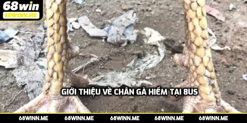 Nhận diện vảy đại giáp qua màu sắc vảy 